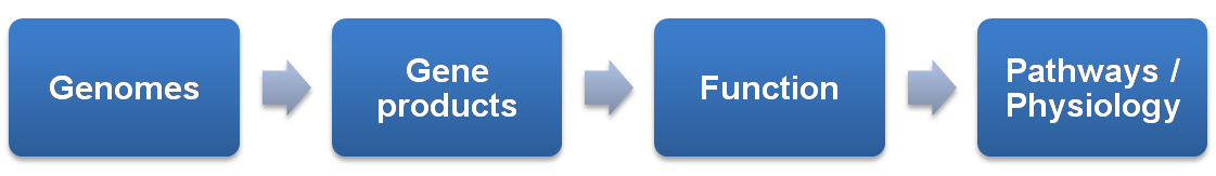 flowofinfo